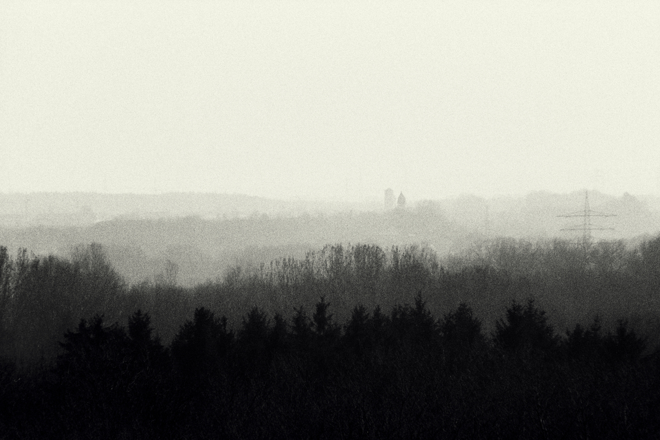 Staggered Trees - ID 013195