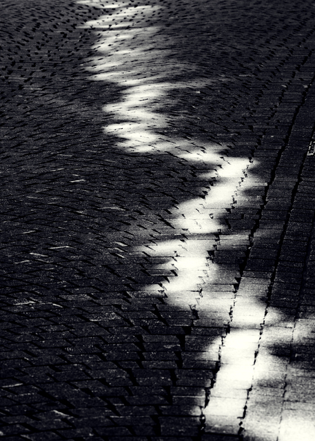 Lightplay on Cobbles II - ID 013247