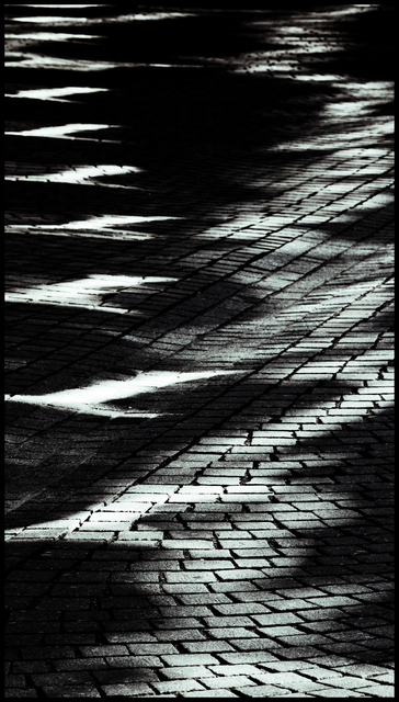 Lightplay on Cobbles V - ID 013250