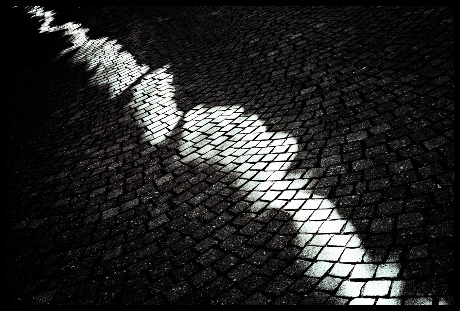 Lightplay on Cobbles VI - ID 013251