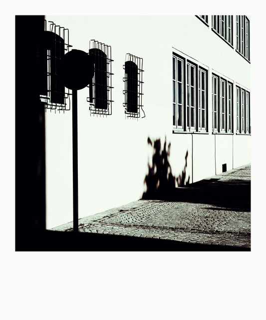 Hard Sunlight - ID 013255