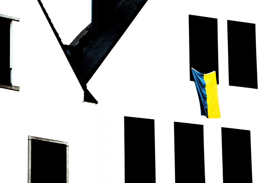 Ukraine Flag - ID 013258