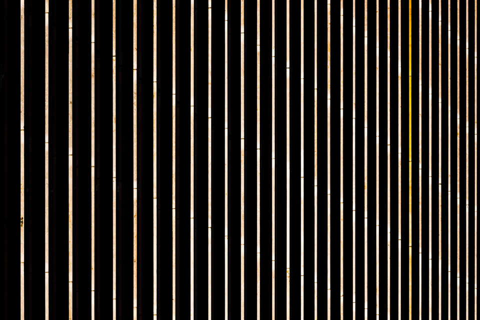 Grazing Light on Gallery - ID 013279