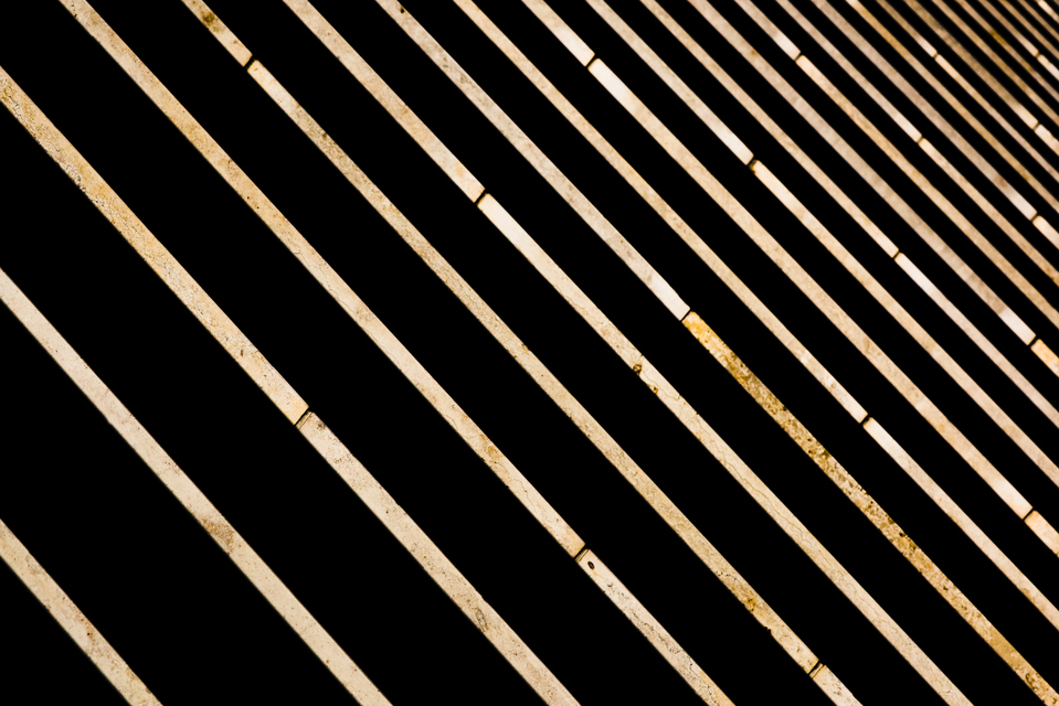 Grazing Light on Gallery - ID 013281