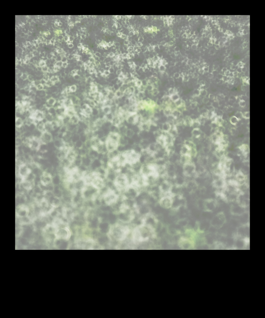 Field Circles - ID 013320