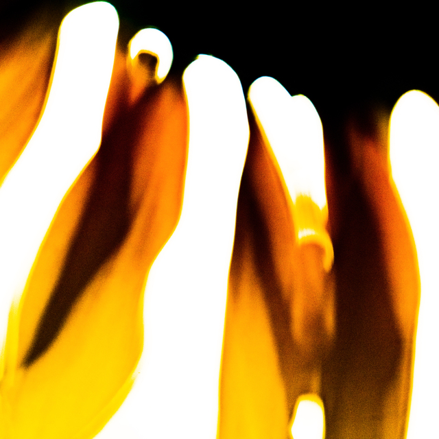 Stellar Corona I - ID 013356