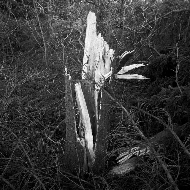 After the Storm I - ID 013436