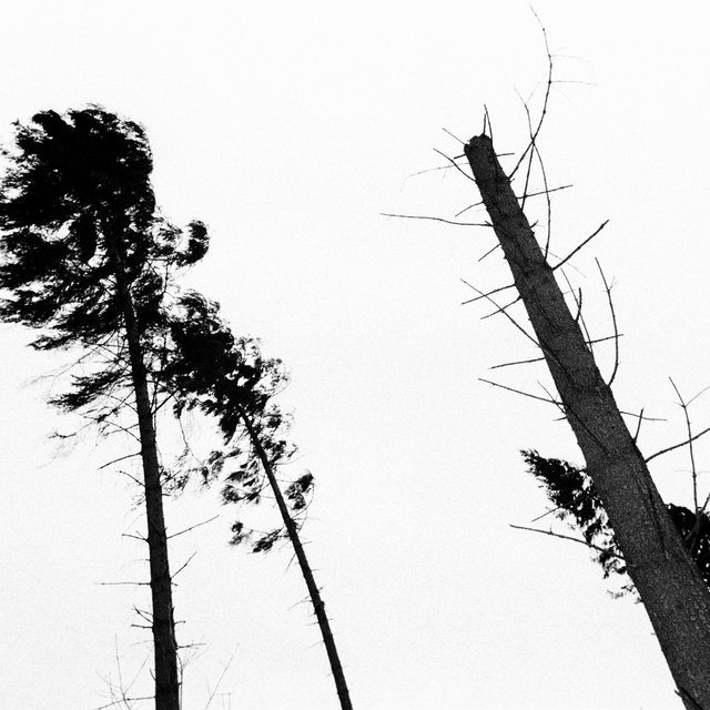 After the Storm II - ID 013437