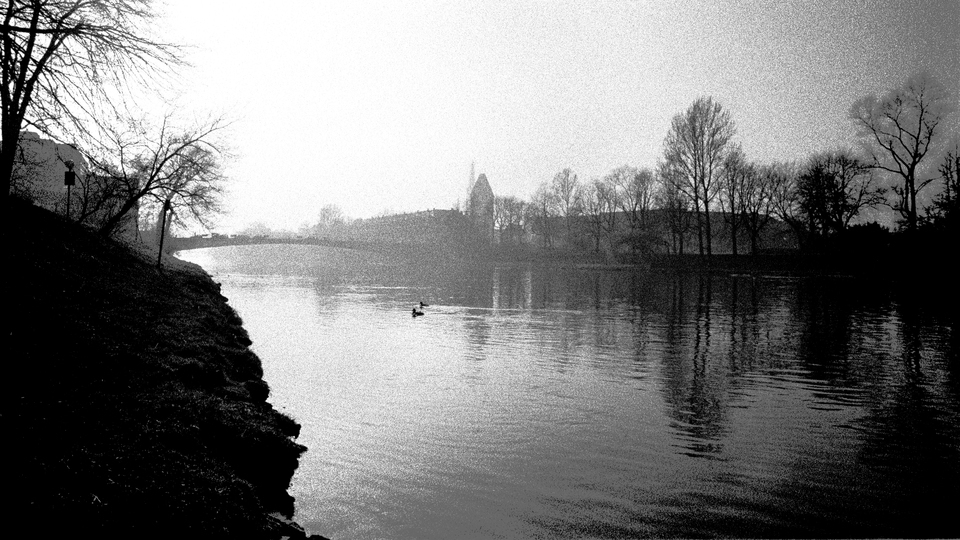 Foggy Danube - ID 013454