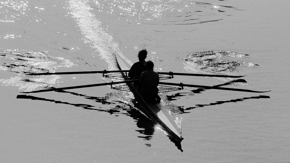 Danube Rowing - ID 013463