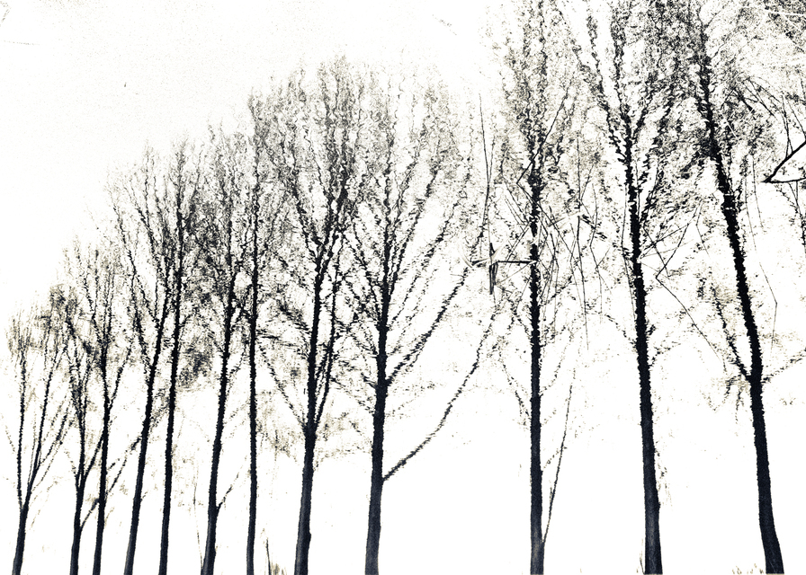 Alley in Water - ID 013506