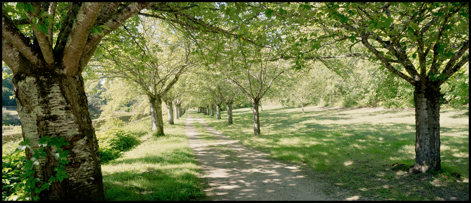Castle Garden Alley I - ID 013507