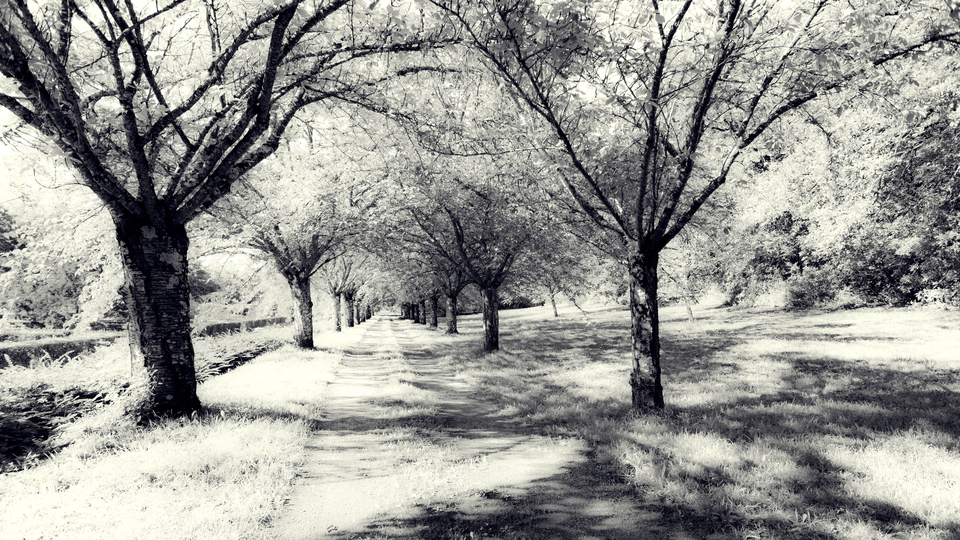 Castle Garden Alley IV - ID 013510