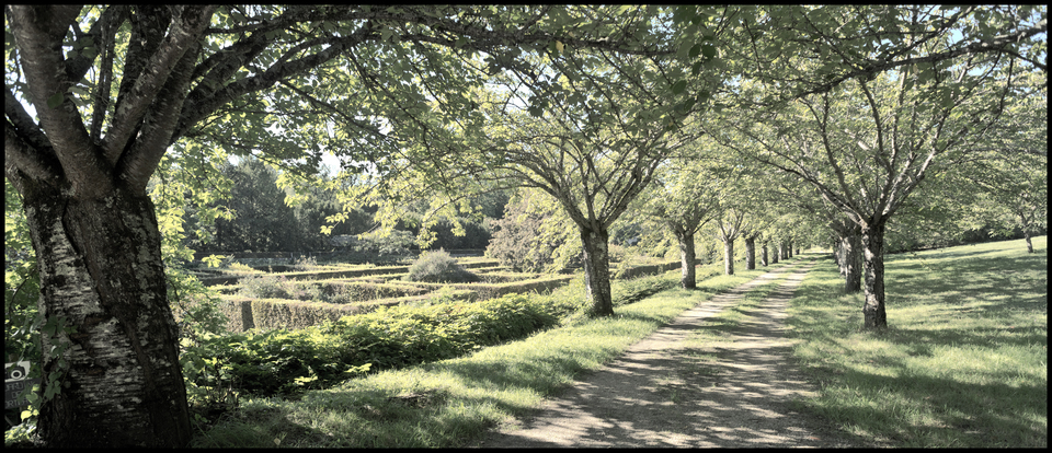Castle Garden Alley V - ID 013511