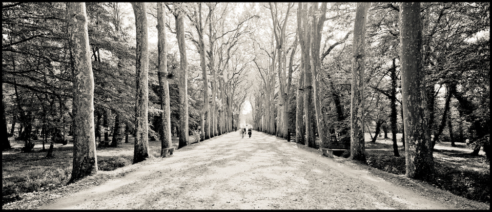 Castle Alley I - ID 013518