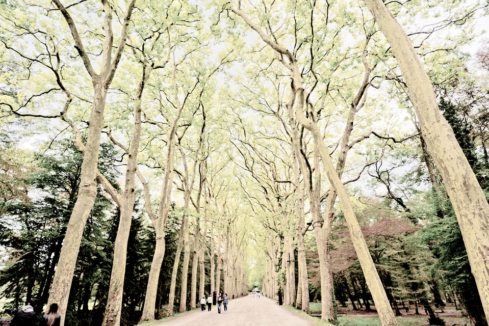 Castle Alley III - ID 013540