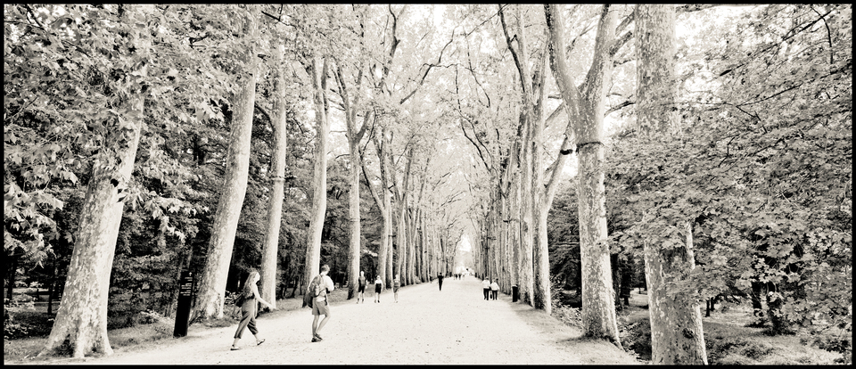 Castle Alley V - ID 013542