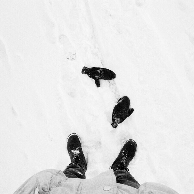 Gloves in Snow - ID 013576