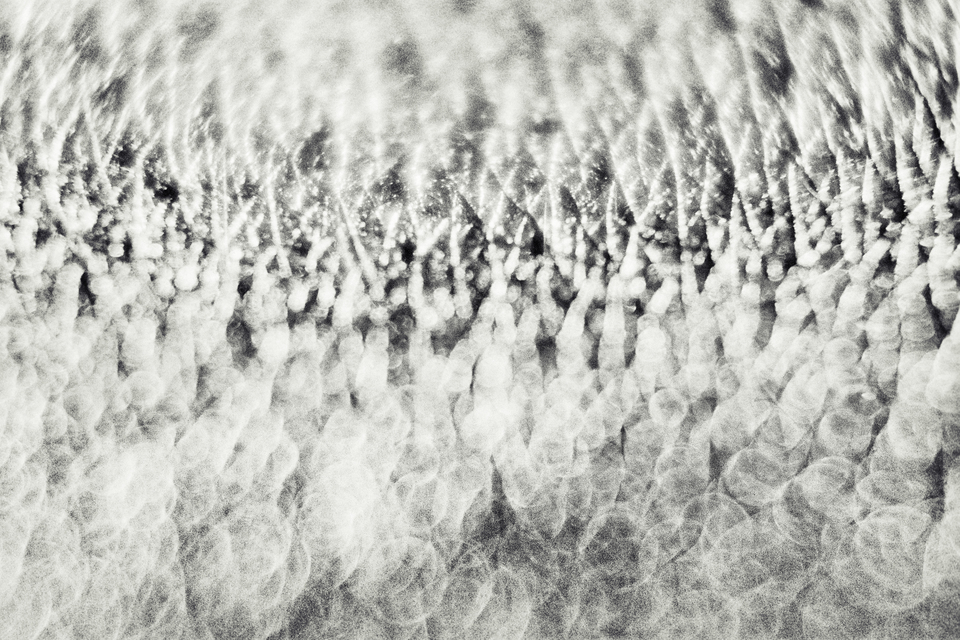 Skin III - ID 013636