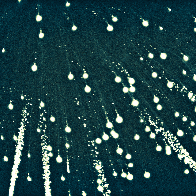 Fireworks above Danube I - ID 013641