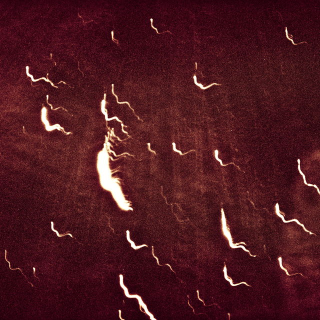 Fireworks above Danube II - ID 013642