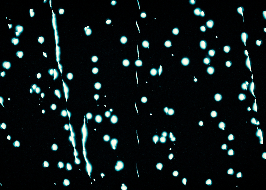 Fireworks above Danube XII - ID 013652