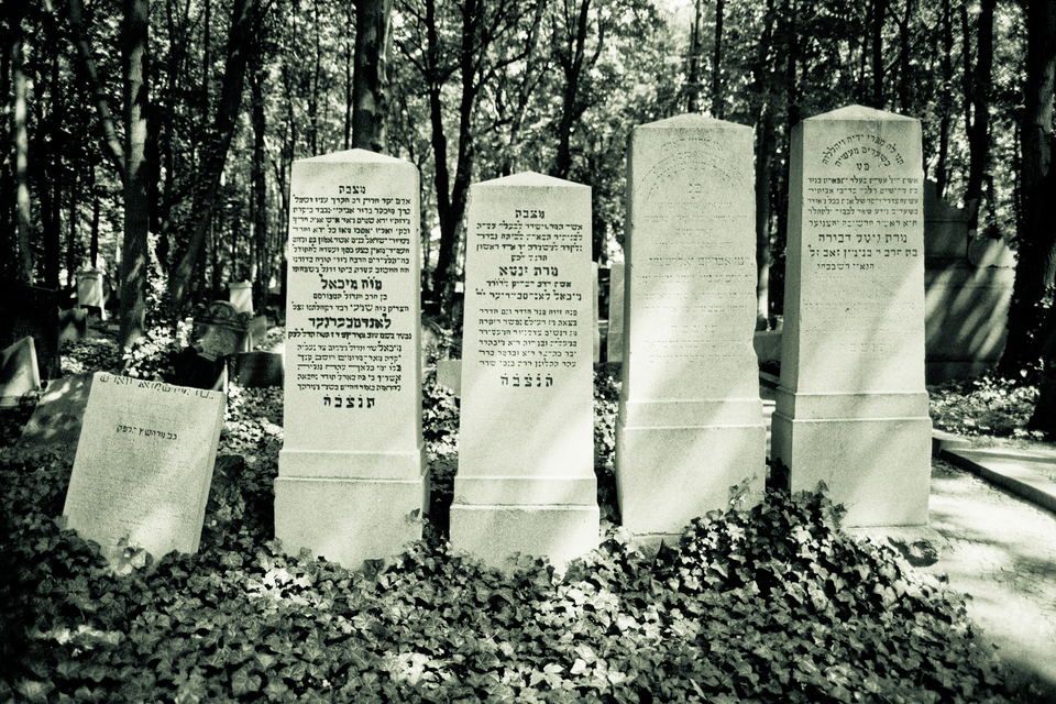 Berlin Jewish Cemetery II - ID 013742