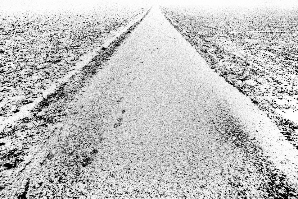 Footsteps in the Snow - ID 013848