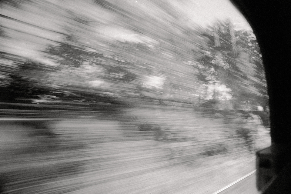 Train and Trees - ID 013879