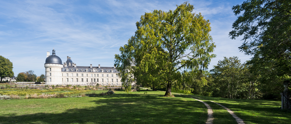 Behind the Tree - ID 013895