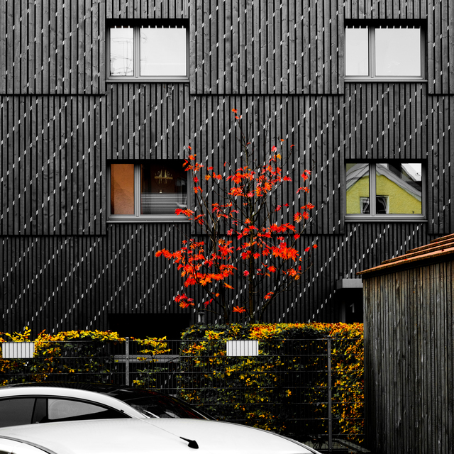 Red on Black - ID 013982