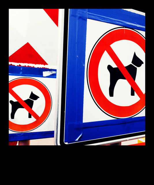 NO DOGS - ID 013994