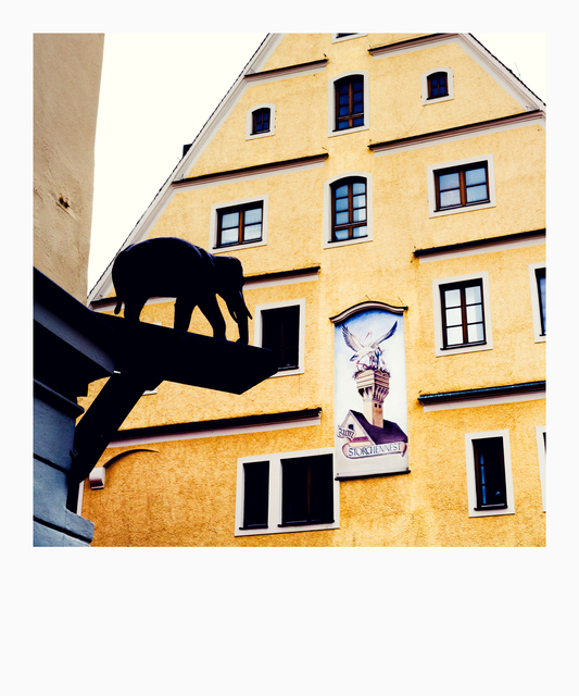 An Elephant over Storks - ID 013996