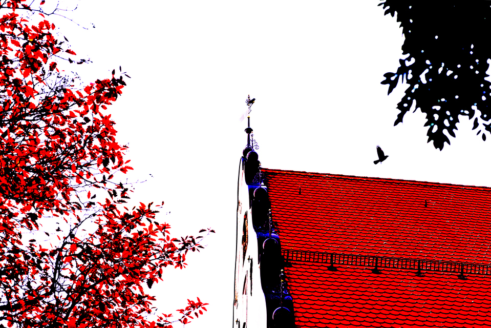 Starting Bird - ID 014001