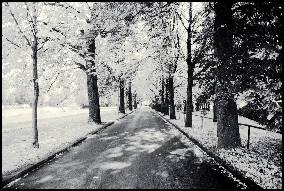 Kassel Allee - ID 014040