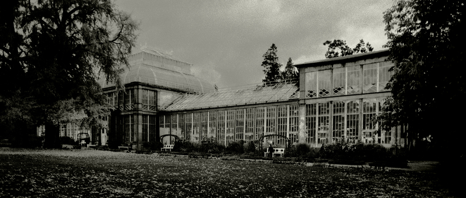 Wilhelmshoehe Palace Greenhouse - ID 014054