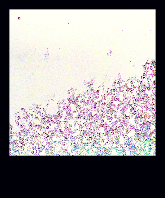 Sleet I - ID 014071