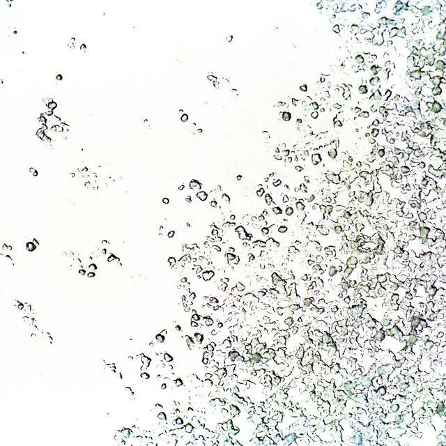 Sleet II - ID 014072
