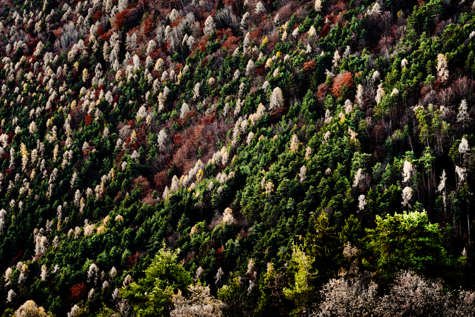 Above Bozen X - ID 014098