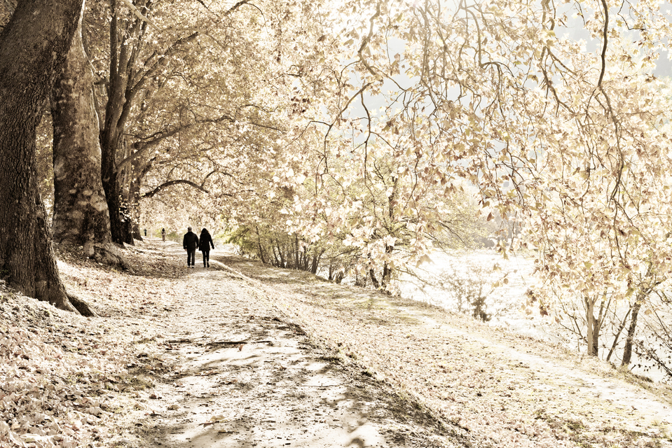 Walking at River - ID 014135