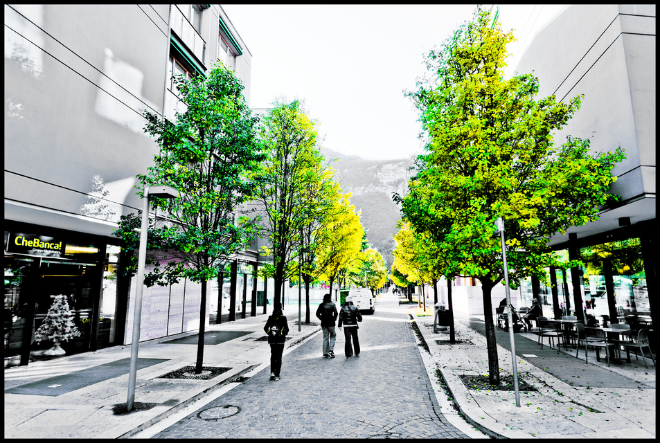 Green Trees at Che Banca - ID 014139