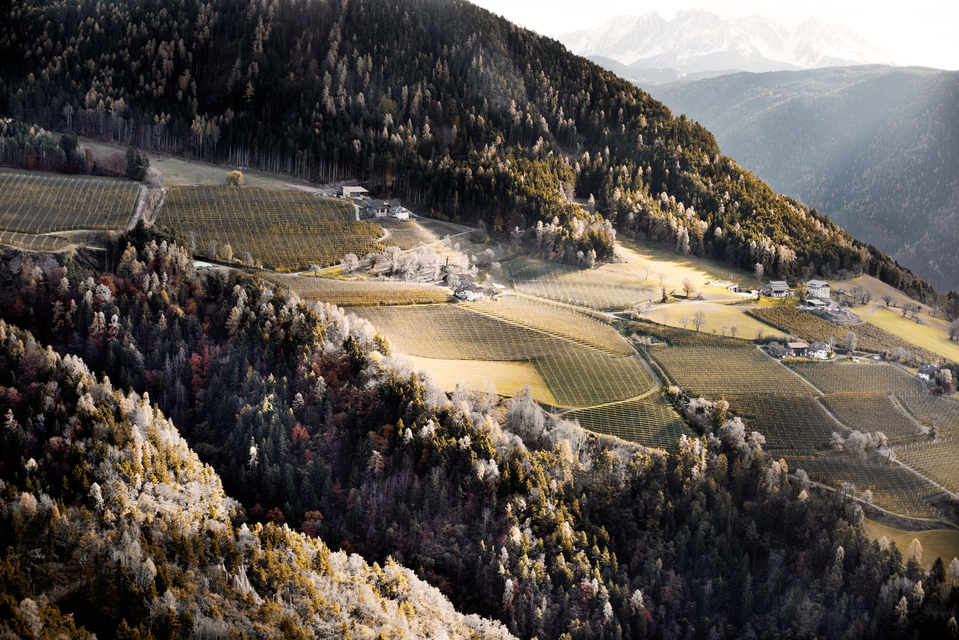 Selected Sunlight on Farms I - ID 014157