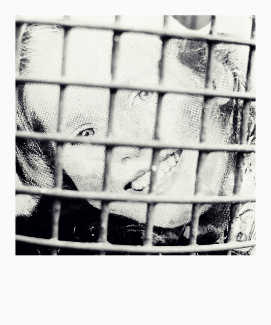 In Trash Can II - ID 014176
