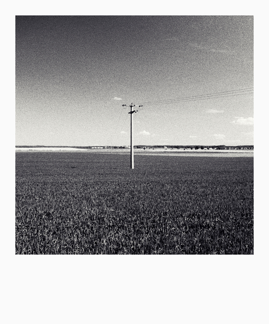 Electricity Pole on Field - ID 014178