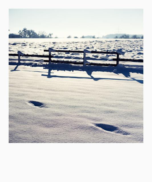 Against the Sun with Fence - ID 014203