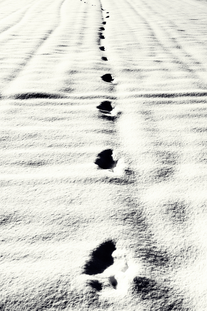 Footsteps - ID 014204