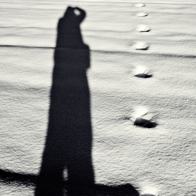 Dark Shadow Man with Footsteps - ID 014207