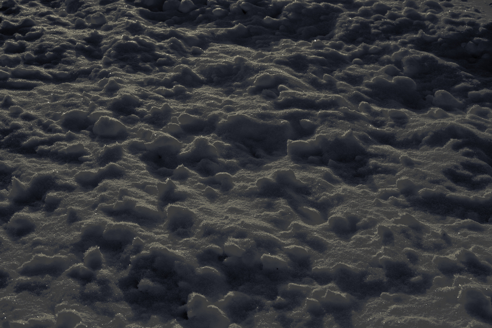 Snow Details I - ID 014209