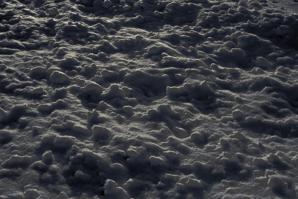 Snow Details II - ID 014210