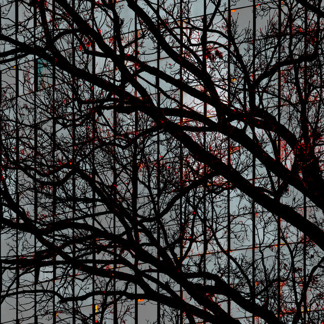 Tree and Glass II - ID 014248